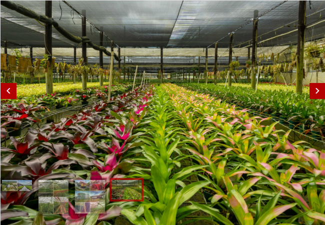 Commercial Property for Sale in Homestead Florida 33031